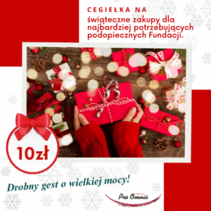 sklepik charytatywny fundacja pro omnis cegiełki na świąteczne zakupy dla potrzebujących