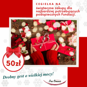 sklepik charytatywny fundacja pro omnis cegiełki na świąteczne zakupy dla potrzebujących